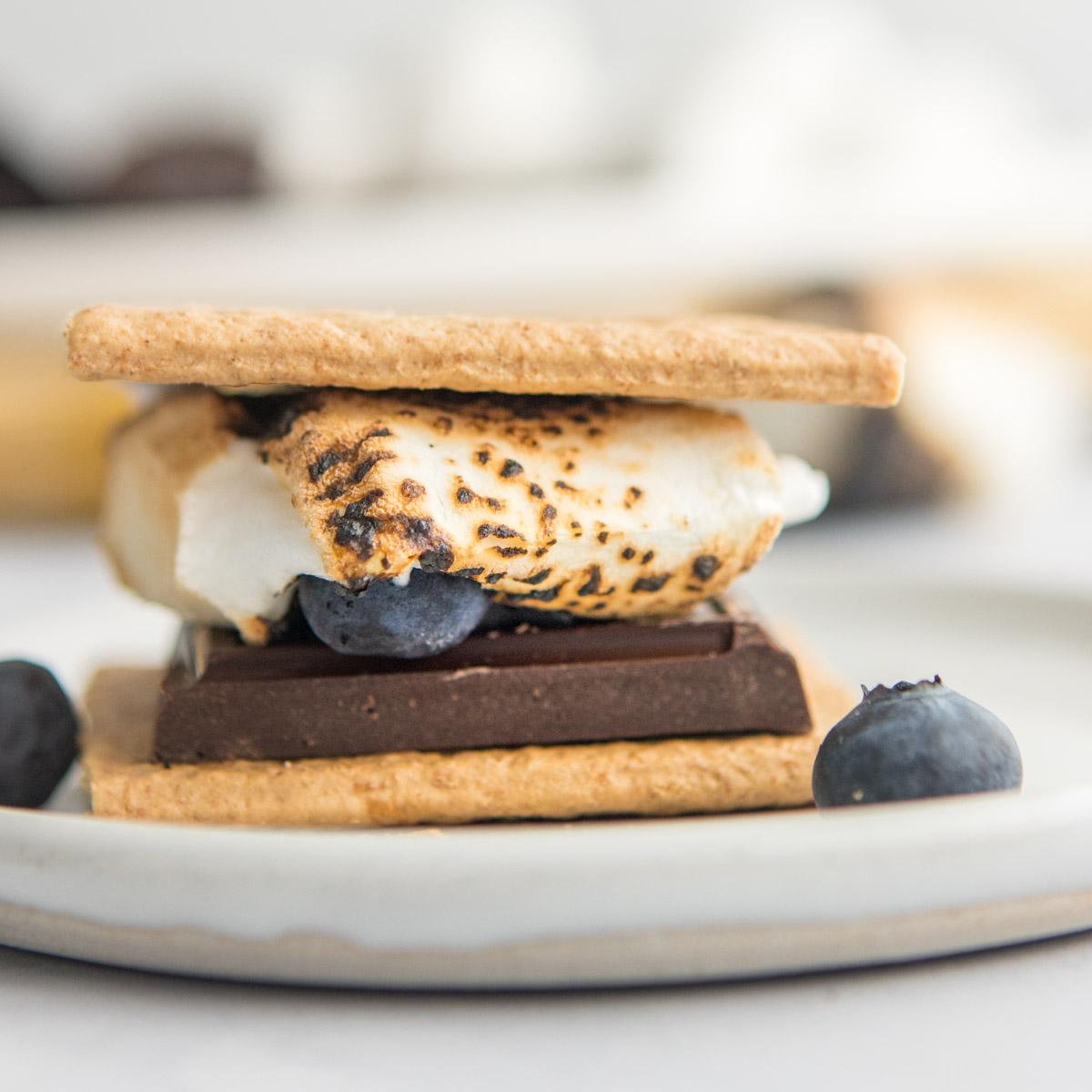 close up of charred marshmallow s'more on a plate