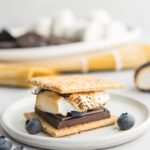 s'more on a white plate with blueberries on it