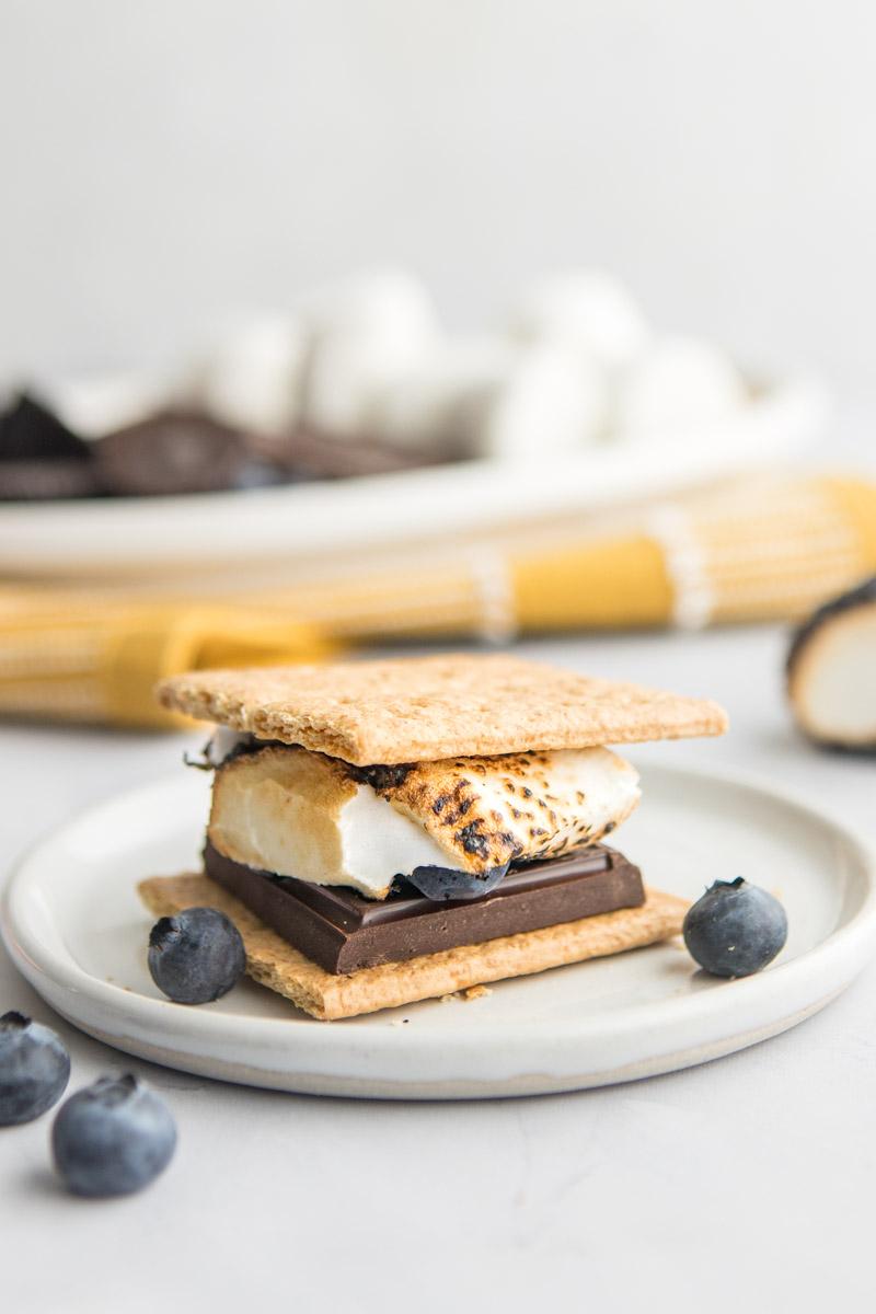 s'more on a white plate with blueberries on it