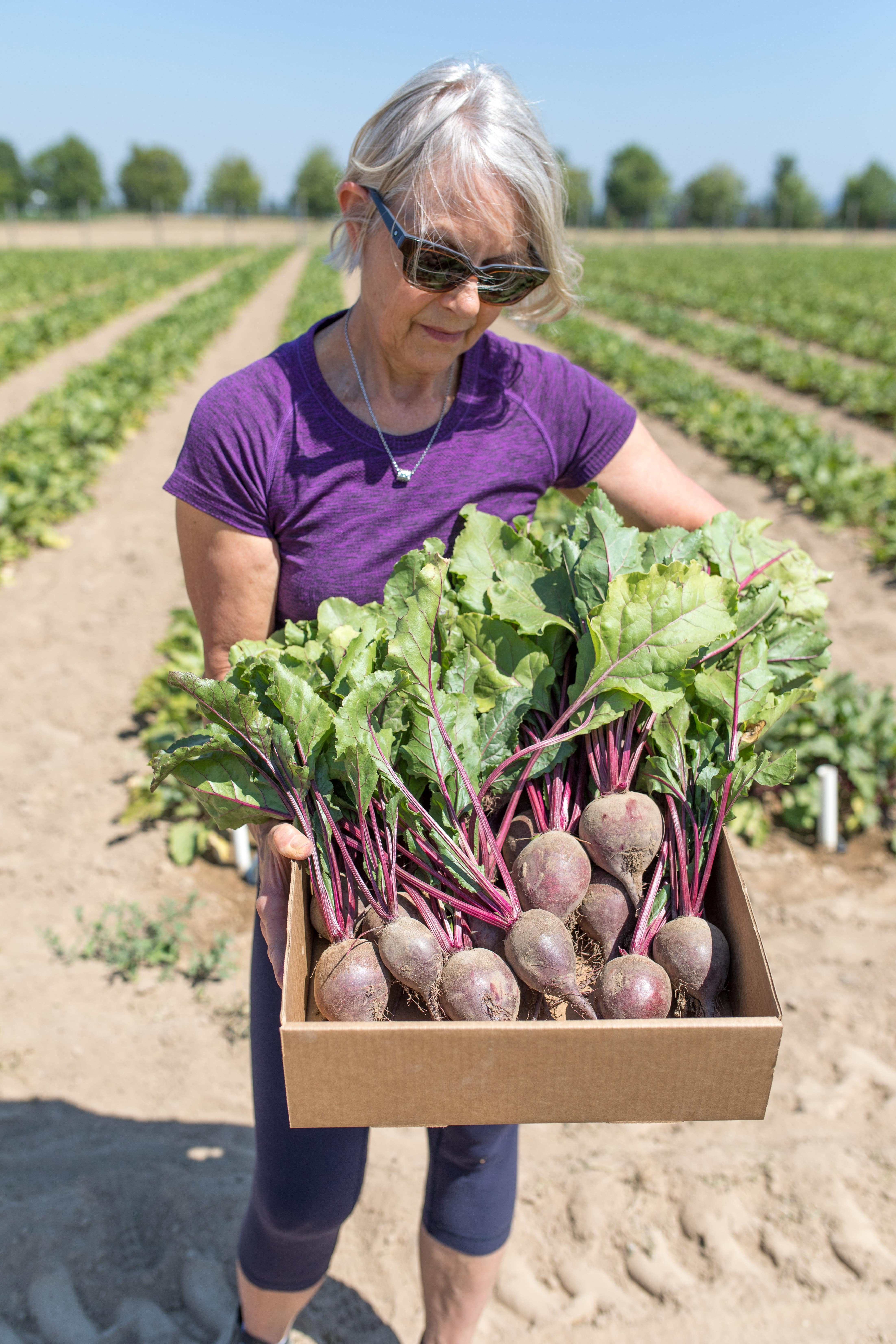 woman holding box of beets at a farm