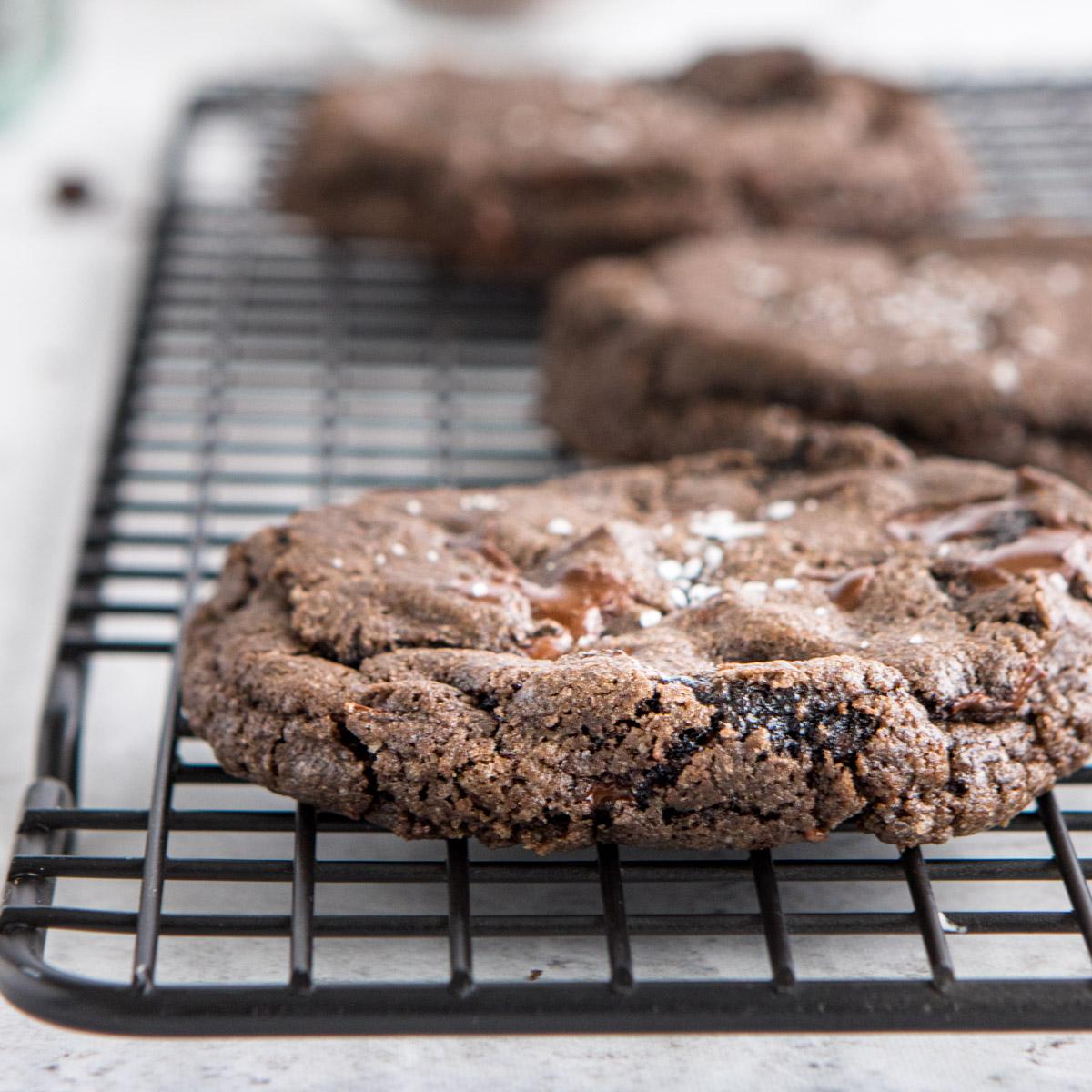 close up of double dark chocolate small batch cookies on a cookie sheet