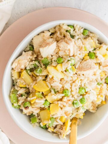 bowl of chicken fried rice