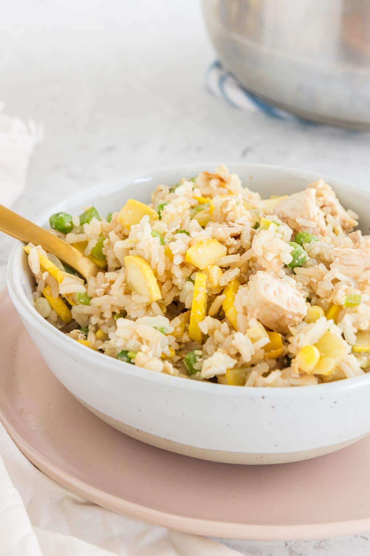 close up of a bowl of chicken fried rice