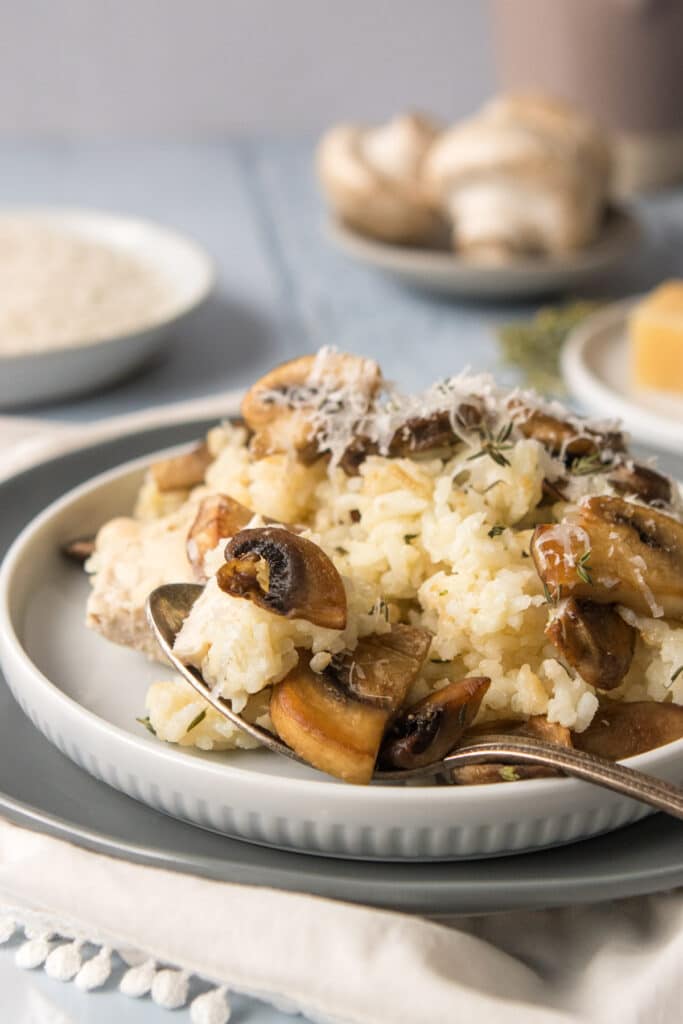 close up of mushrooms and rice on a grey plate