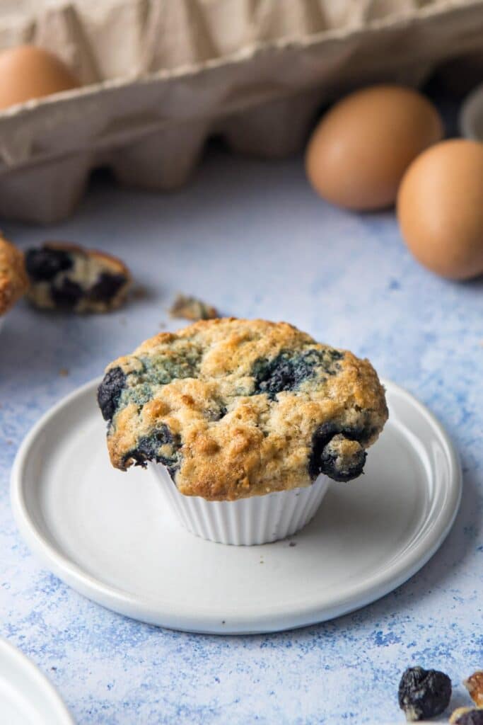 Banana Blueberry Oatmeal Muffins – Nourish Nutrition Blog