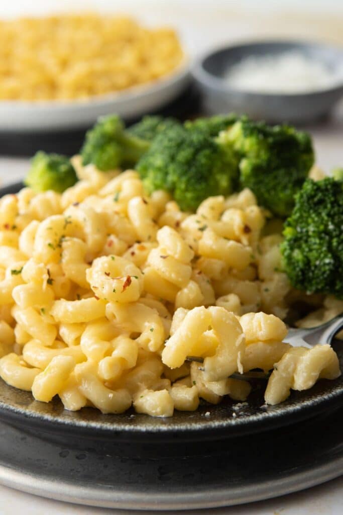 mac and cheese with seasonings and broccoli